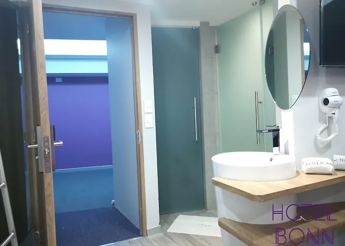 Hotel Bonn 4*