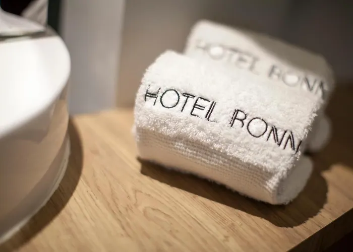 Hotel Bonn 4*